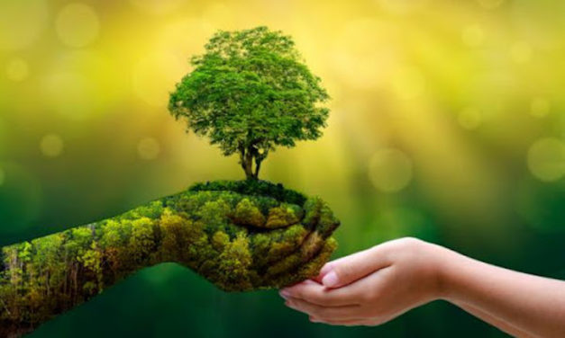05 de JUNIO- «DÍA MUNDIAL del MEDIO AMBIENTE
