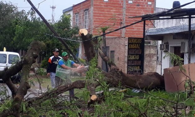 MUNICIPALES de RESISTENCIA (Chaco)