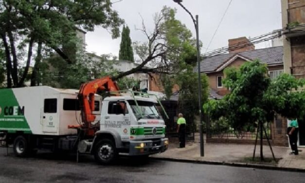 MUNICIPALES de RAFAELA (Sta. Fe) y ROSARIO (Sta. Fe) trabajando para contrarrestar los efectos negativos del temporal.