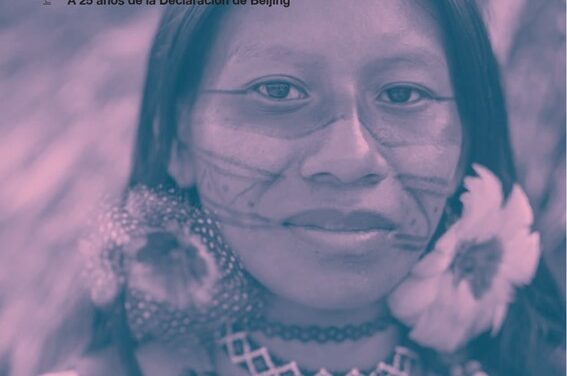 A 25 AÑOS DE BEIJING: LA SITUACION REGIONAL DE LAS MUJERES INDIGENAS Y SUS DERECHOS.