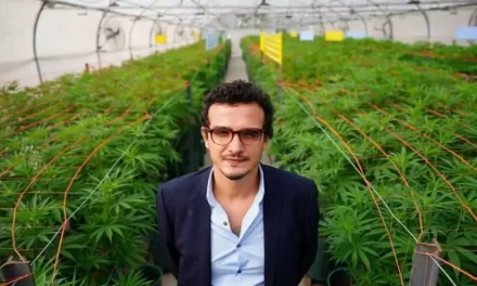 “El hijo de Gerardo Morales hizo un convenio con una multinacional estadounidense y exporta marihuana”
