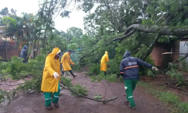 Ante nuevo período de lluvias, se intensifican las tareas municipales en la ciudad