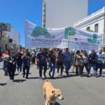 ¡La unión hace la fuerza!