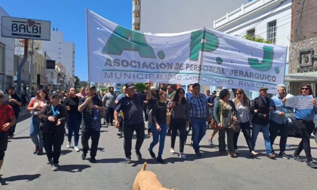 ¡La unión hace la fuerza!