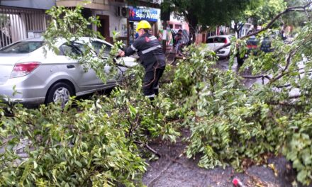Equipos municipales intervinieron por emergencias en la ciudad tras la fuerte tormenta