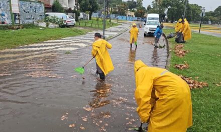 Cuadrillas municipales trabajan para normalizar los efectos de la tormenta