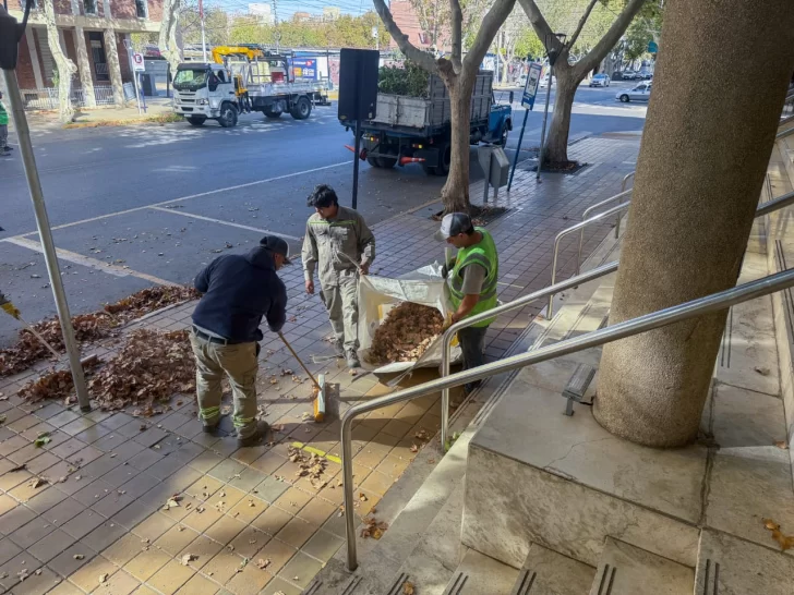Después del viento, las cuadrillas municipales dejaron limpia la Ciudad
