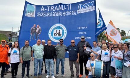 PLAN DE LUCHA EN TIGRE